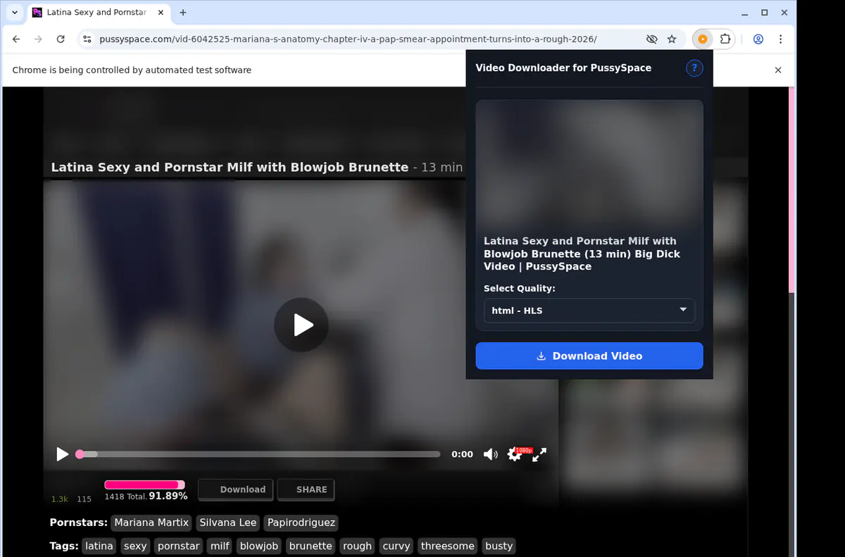 Pussyspace Video Downloader browser extension screenshot 3
