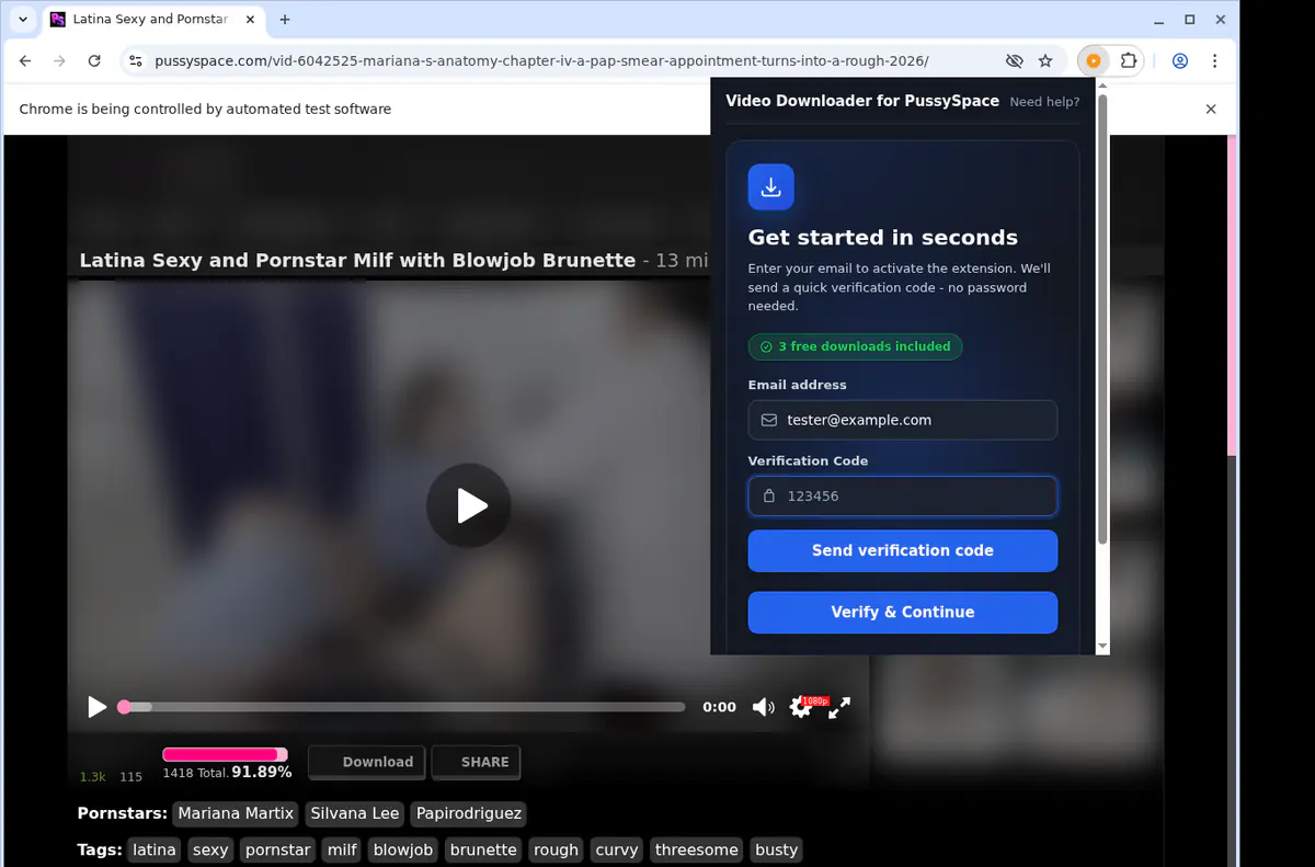 Pussyspace Video Downloader browser extension screenshot 4
