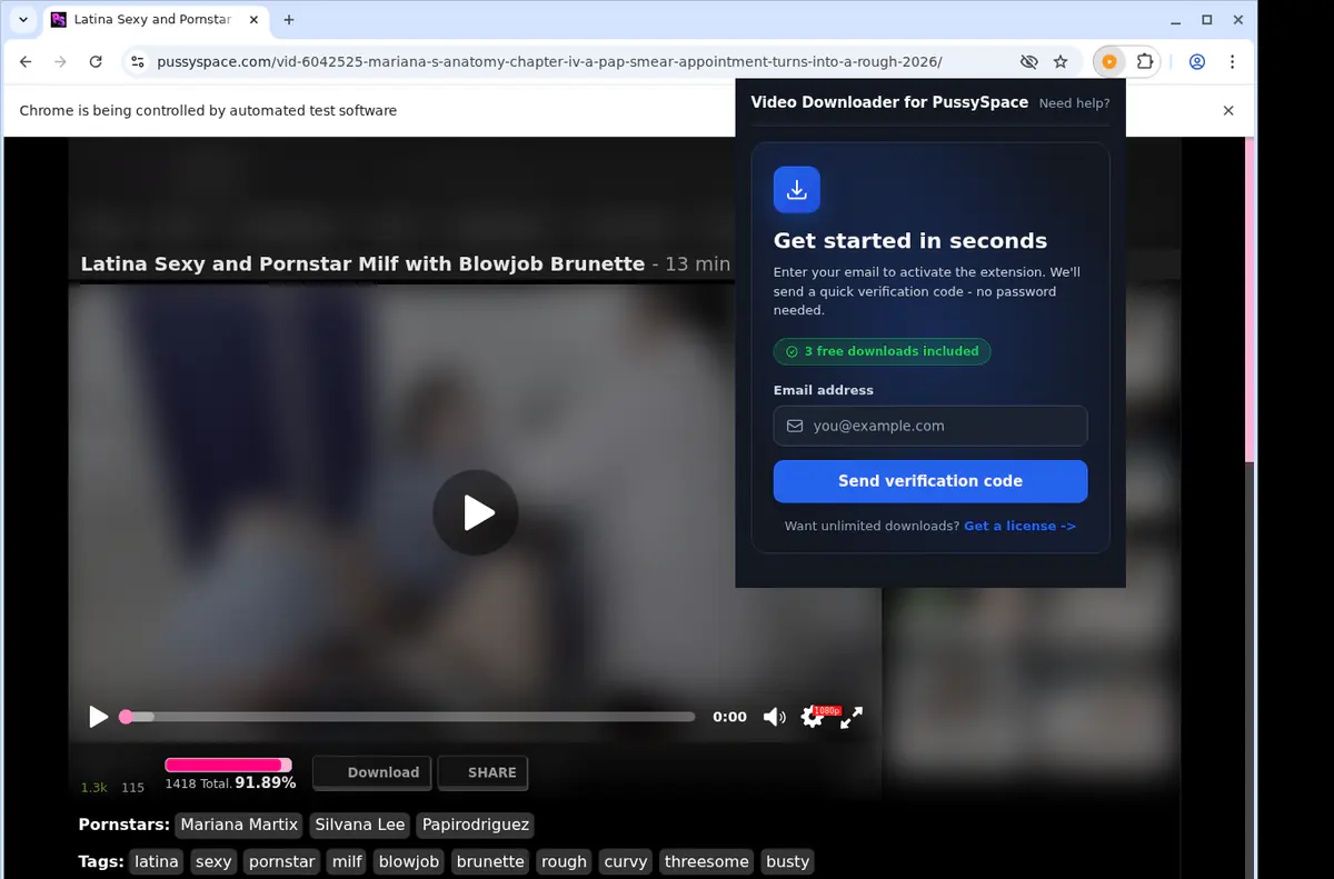Pussyspace Video Downloader browser extension screenshot 5